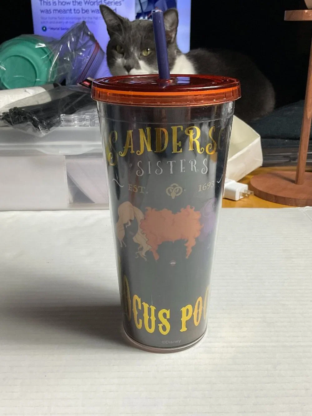 Disney Hocus Pocus Sanderson Sisters Tumbler